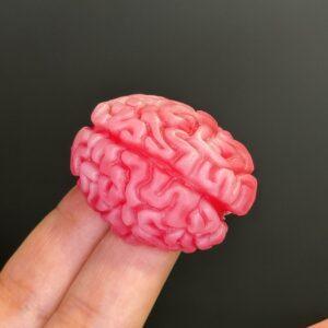 Brain Squishy – Stress Relief Toy