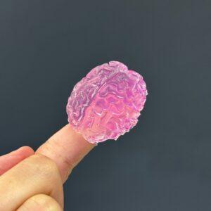 Sweet Reflections Brain Squishy