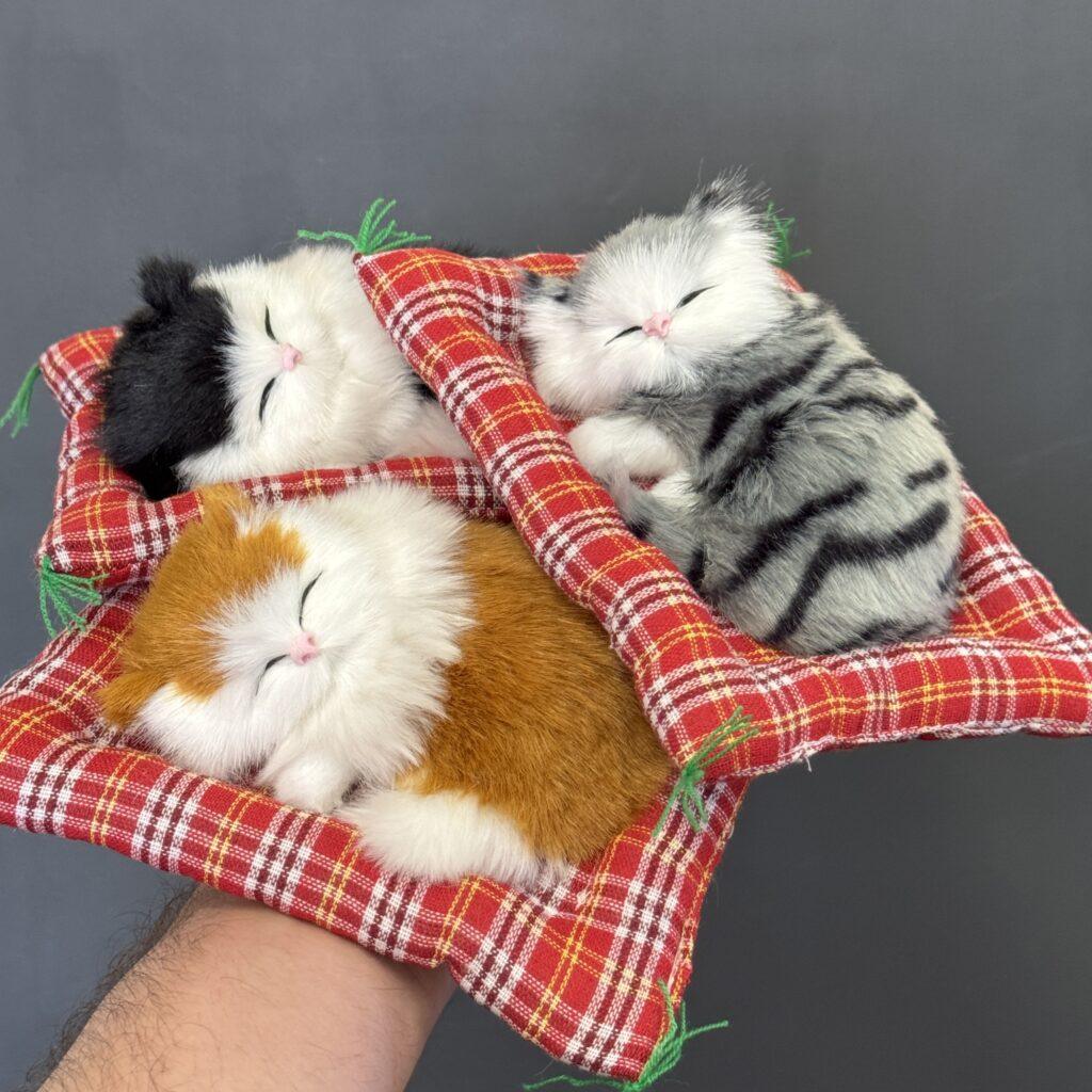 Sleeping Cat Plush Toy Calgary JigglyPiggly