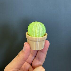 Cactus Clicker